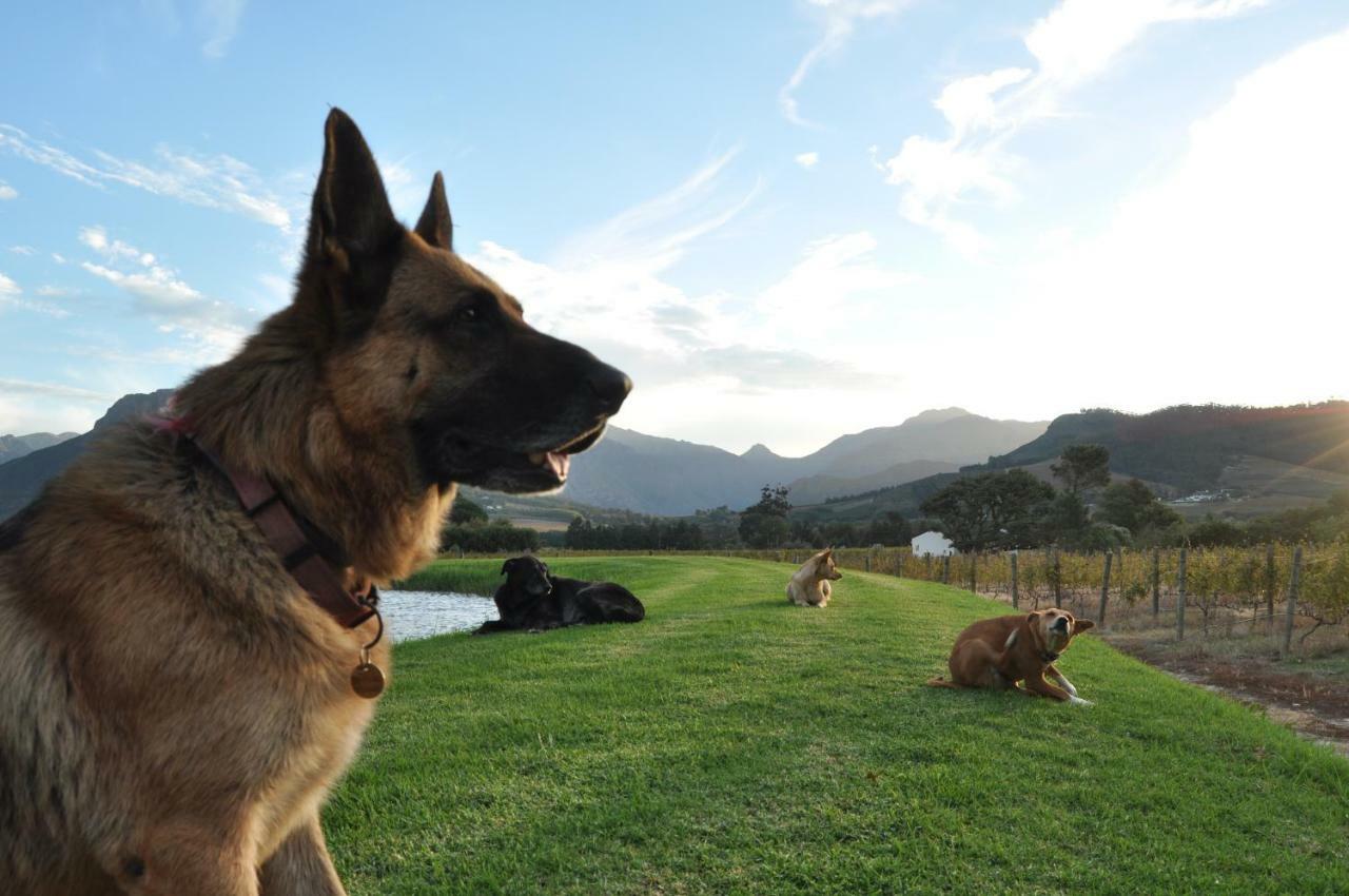 Bo La Motte Farm Cottages Franschhoek Exterior photo